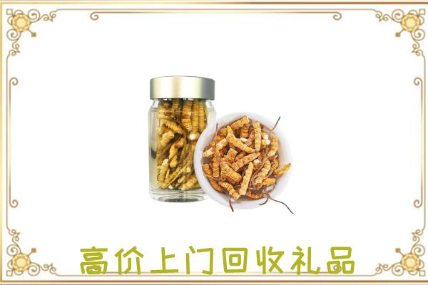 阳江市周边回收虫草